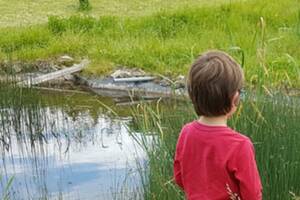 [ATELIER ENFANTS] LES INSECTES DE LA MARE